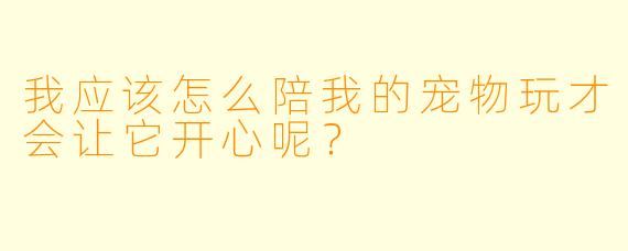 我应该怎么陪我的宠物玩才会让它开心呢？