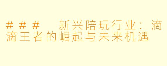 ### 新兴陪玩行业：滴滴王者的崛起与未来机遇