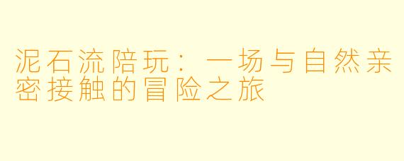 泥石流陪玩：一场与自然亲密接触的冒险之旅