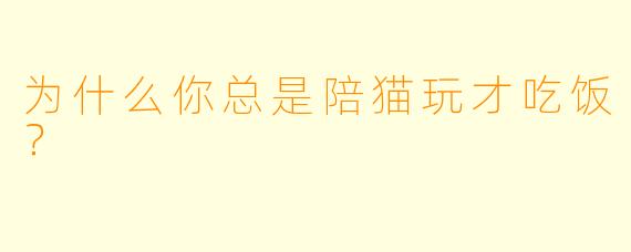为什么你总是陪猫玩才吃饭？