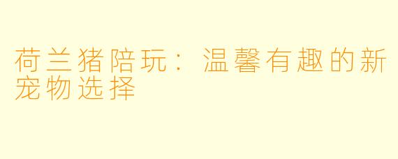 荷兰猪陪玩:温馨有趣的新宠物选择