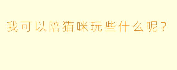 我可以陪猫咪玩些什么呢？