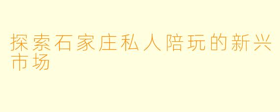 探索石家庄私人陪玩的新兴市场