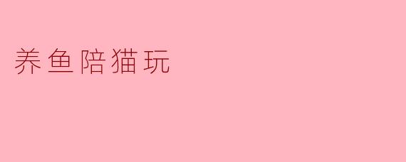 养鱼陪猫玩