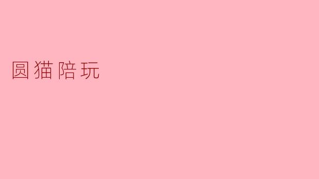 ### 圆猫陪玩:宠物陪伴的新选择
