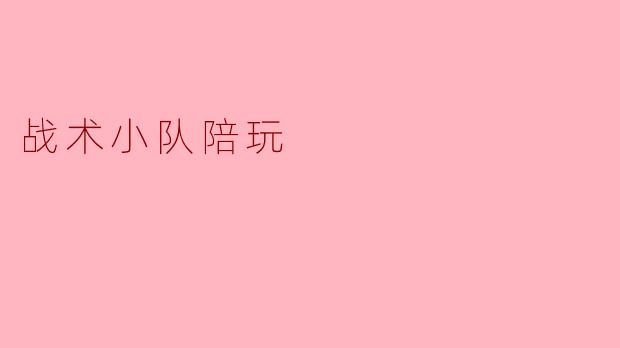 战术小队陪玩