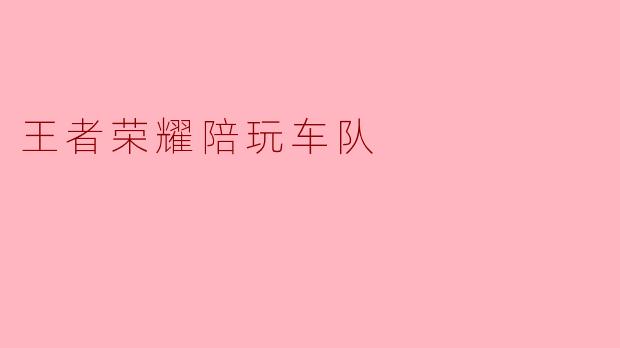 王者荣耀陪玩车队