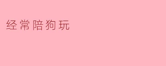 经常陪狗玩