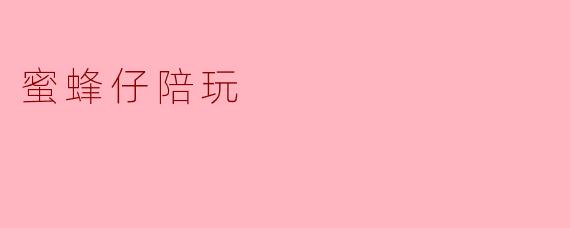 蜜蜂仔陪玩