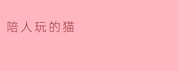 陪人玩的猫