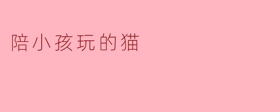 陪小孩玩的猫