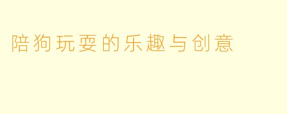 陪狗玩耍的乐趣与创意