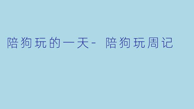 陪狗玩的一天-陪狗玩周记