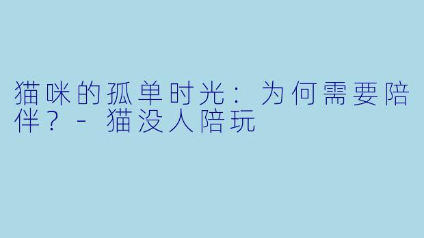 猫咪的孤单时光：为何需要陪伴？-猫没人陪玩