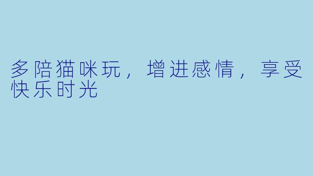 多陪猫咪玩,增进感情,享受快乐时光