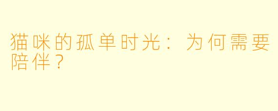 猫咪的孤单时光:为何需要陪伴?