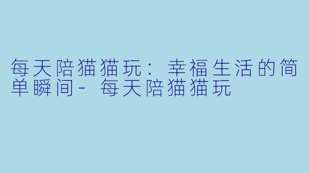 每天陪猫猫玩：幸福生活的简单瞬间-每天陪猫猫玩