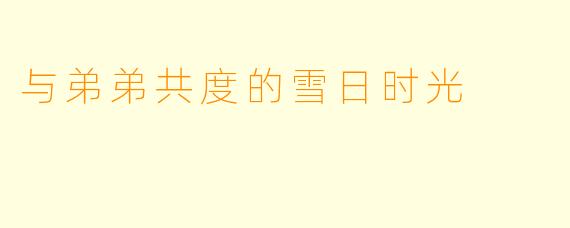 与弟弟共度的雪日时光