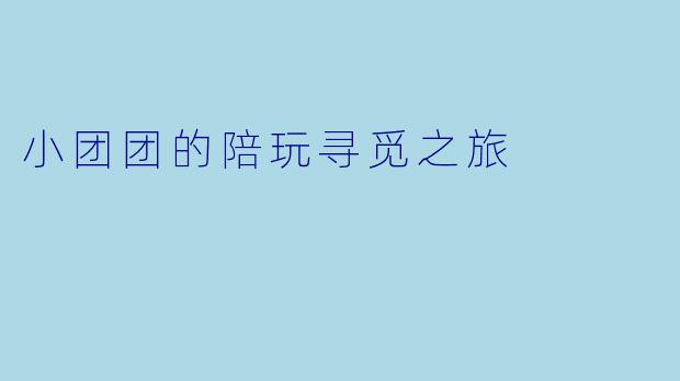 小团团的陪玩寻觅之旅