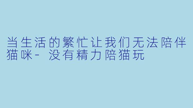 当生活的繁忙让我们无法陪伴猫咪-没有精力陪猫玩