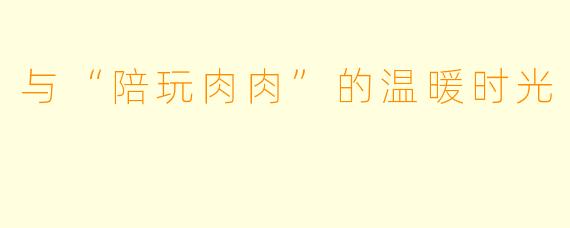 与“陪玩肉肉”的温暖时光