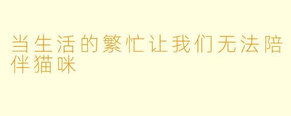 当生活的繁忙让我们无法陪伴猫咪