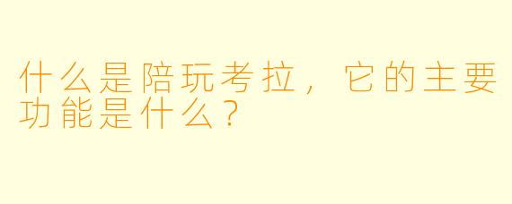 什么是陪玩考拉，它的主要功能是什么？