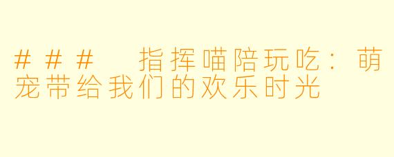### 指挥喵陪玩吃：萌宠带给我们的欢乐时光