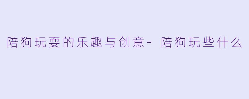 陪狗玩耍的乐趣与创意-陪狗玩些什么