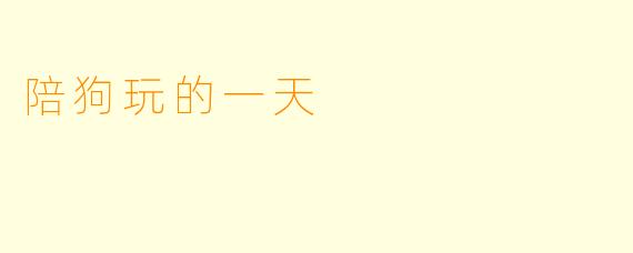 陪狗玩的一天
