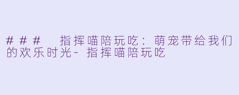 ### 指挥喵陪玩吃:萌宠带给我们的欢乐时光