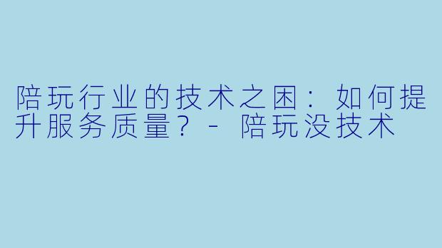 陪玩行业的技术之困：如何提升服务质量？-陪玩没技术