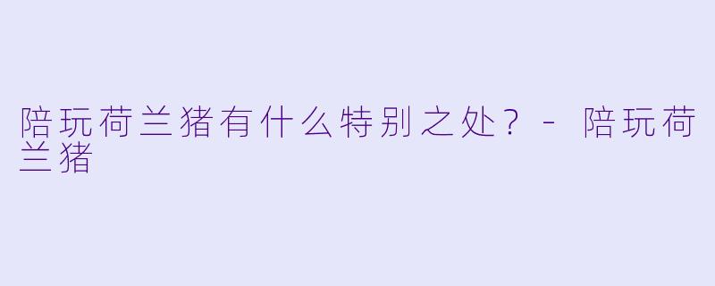 陪玩荷兰猪有什么特别之处？-陪玩荷兰猪