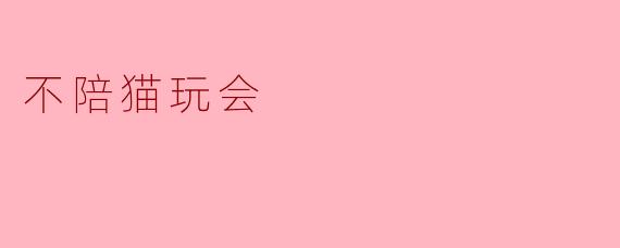 不陪猫玩会