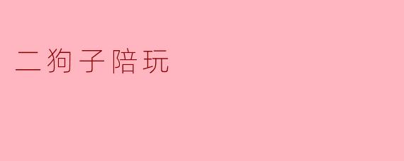 二狗子陪玩