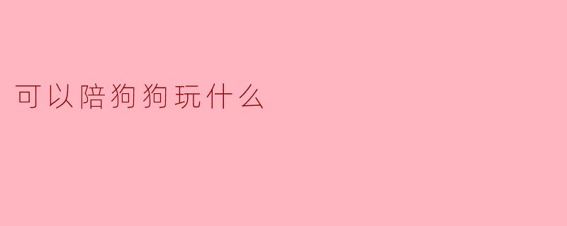 可以陪狗狗玩什么