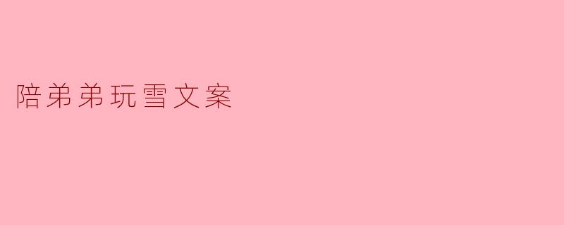 与弟弟共度的雪日时光