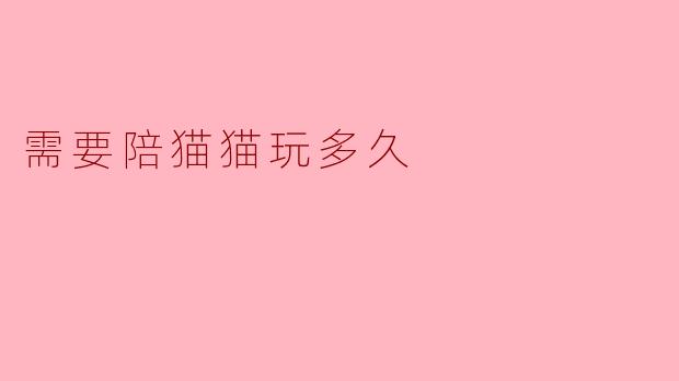 需要陪猫猫玩多久