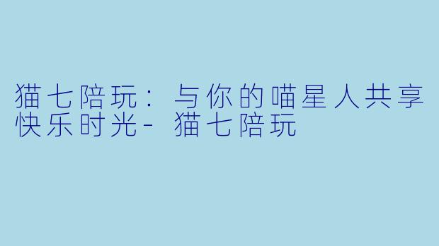 猫七陪玩:与你的喵星人共享快乐时光