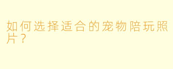 如何选择适合的宠物陪玩照片？  