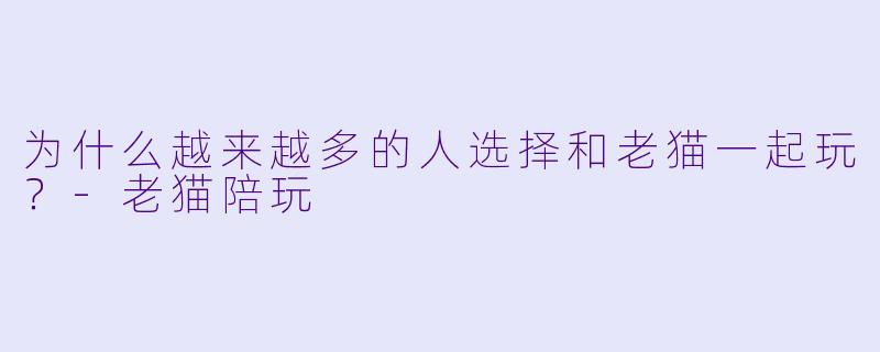 为什么越来越多的人选择和老猫一起玩？