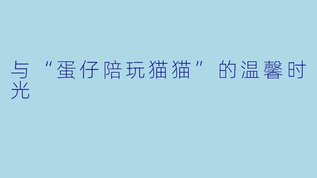 与“蛋仔陪玩猫猫”的温馨时光