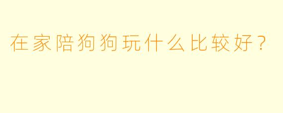 在家陪狗狗玩什么比较好？