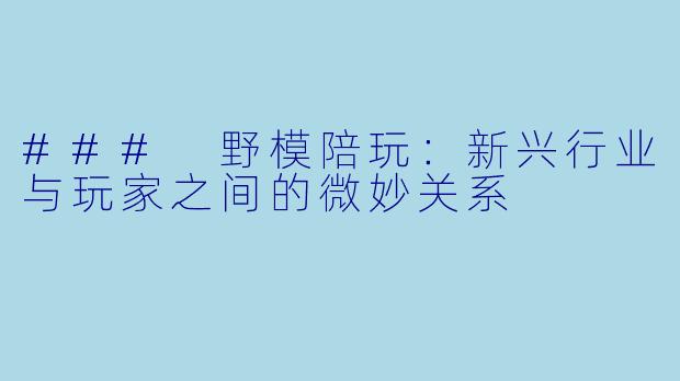 ### 野模陪玩:新兴行业与玩家之间的微妙关系