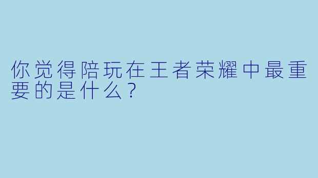 你觉得陪玩在王者荣耀中最重要的是什么？