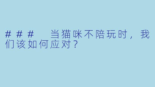 ### 当猫咪不陪玩时,我们该如何应对?