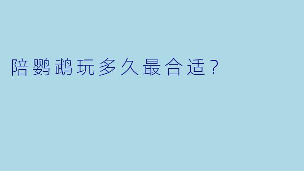 陪鹦鹉玩多久最合适？