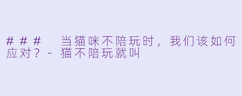 ### 当猫咪不陪玩时，我们该如何应对？-猫不陪玩就叫