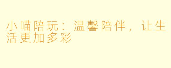 小喵陪玩：温馨陪伴，让生活更加多彩