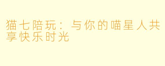猫七陪玩：与你的喵星人共享快乐时光